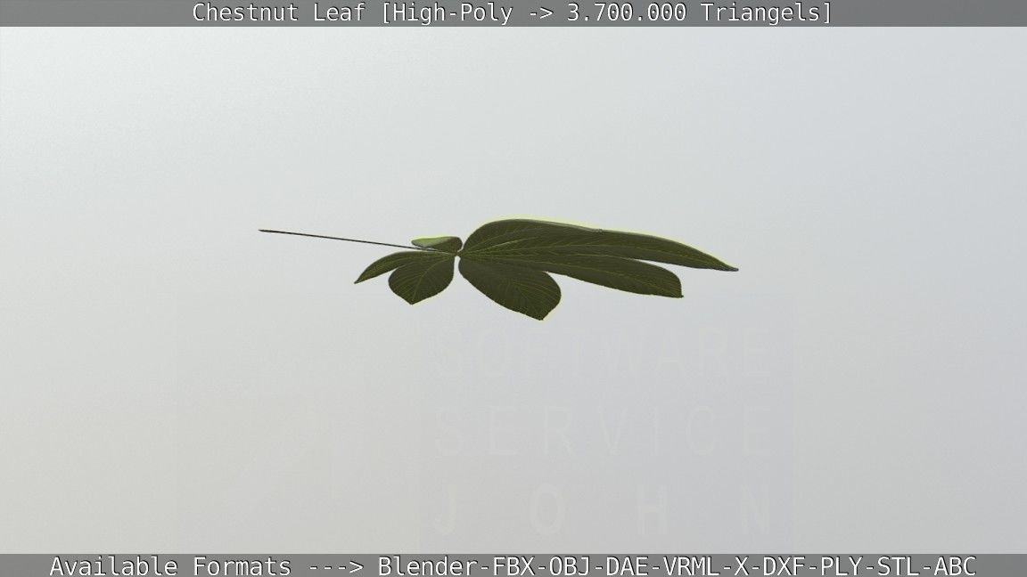 Chestnut Leaf High-Poly 3D model_40