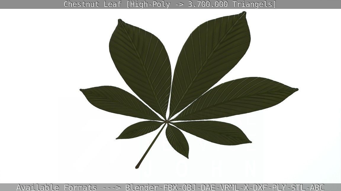Chestnut Leaf High-Poly 3D model_53