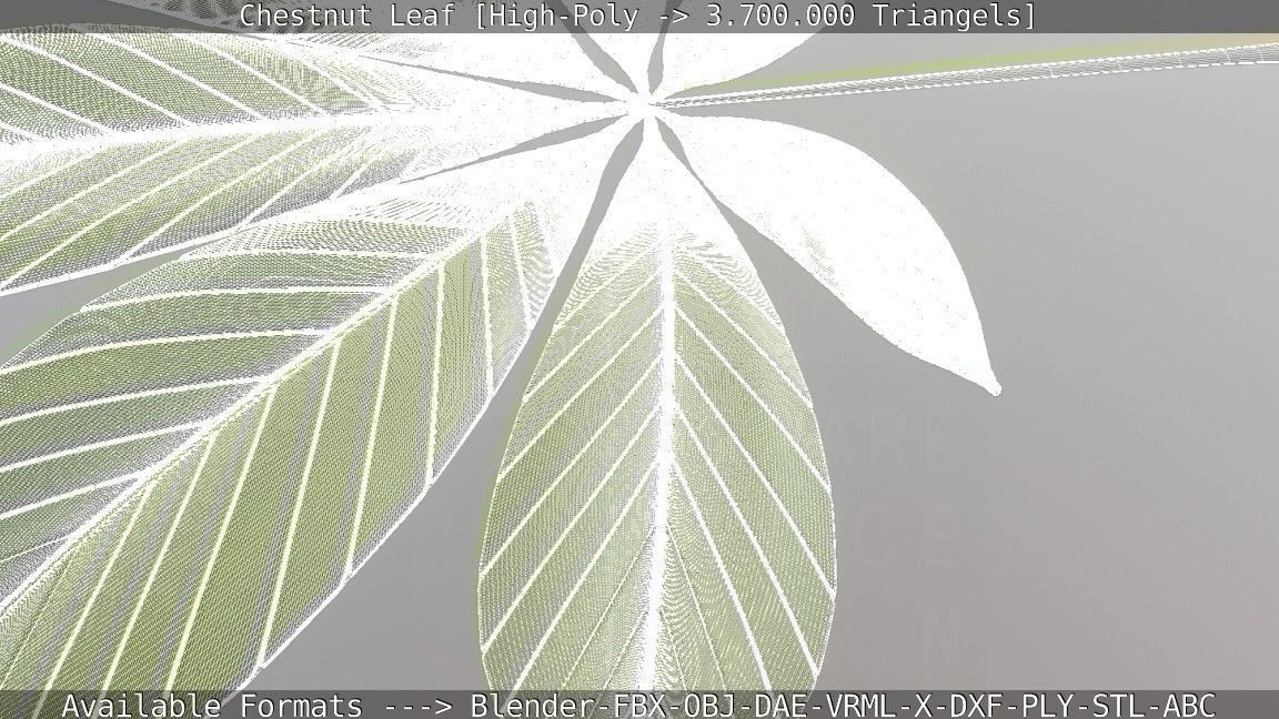 Chestnut Leaf High-Poly 3D model_3
