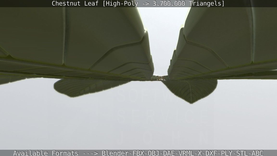 Chestnut Leaf High-Poly 3D model_95