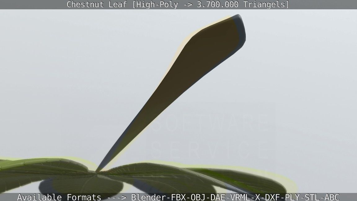 Chestnut Leaf High-Poly 3D model_75