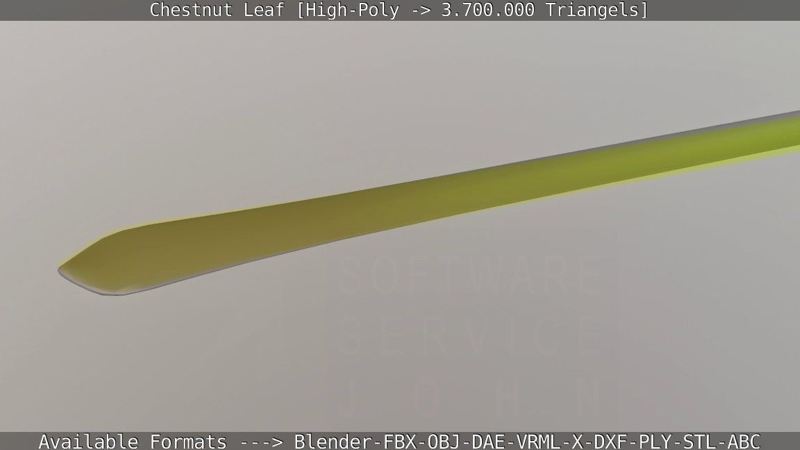 Chestnut Leaf High-Poly 3D model_78