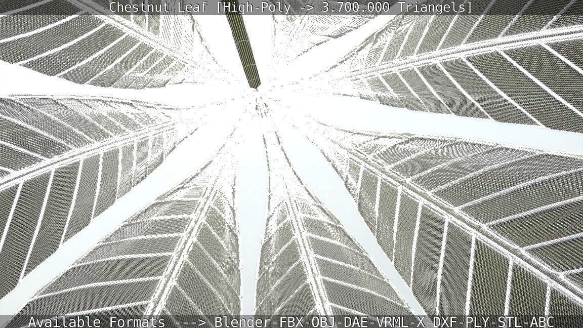 Chestnut Leaf High-Poly 3D model_4