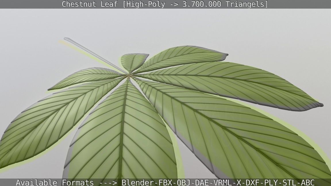 Chestnut Leaf High-Poly 3D model_21