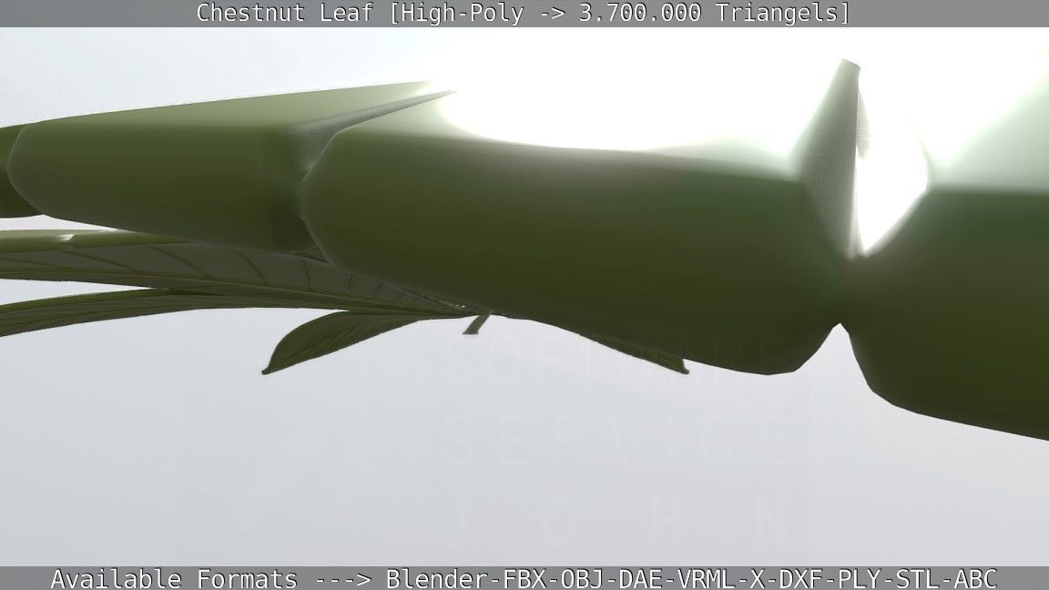 Chestnut Leaf High-Poly 3D model_119