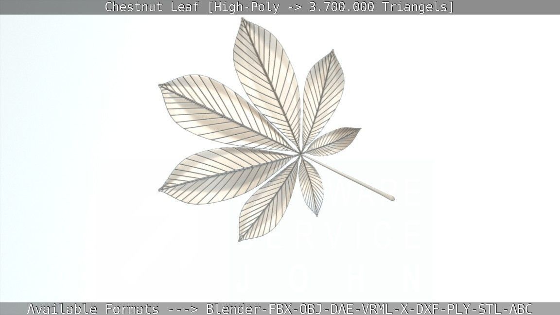 Chestnut Leaf High-Poly 3D model_5