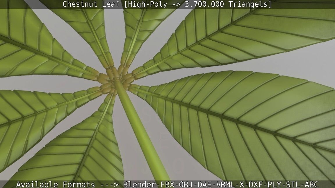 Chestnut Leaf High-Poly 3D model_24