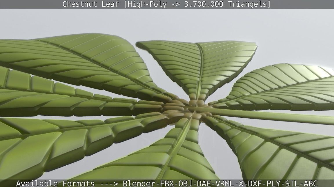 Chestnut Leaf High-Poly 3D model_90