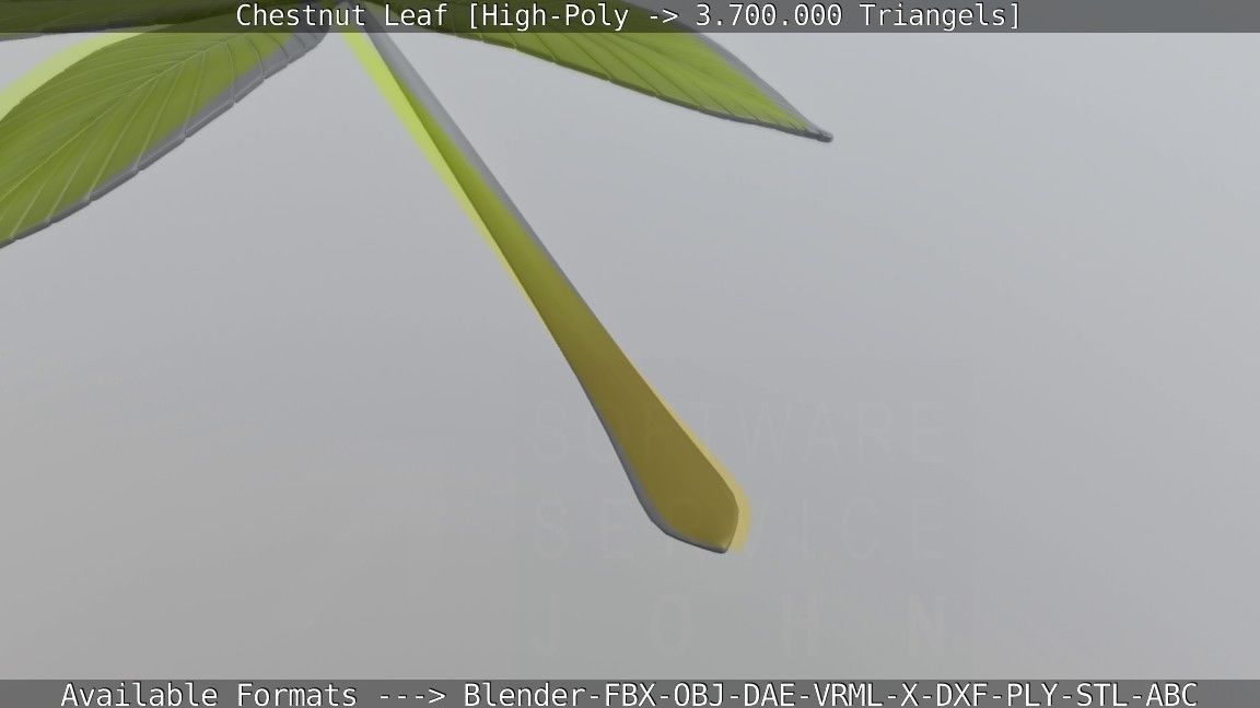 Chestnut Leaf High-Poly 3D model_70