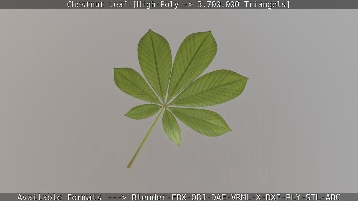 Chestnut Leaf High-Poly 3D model_46