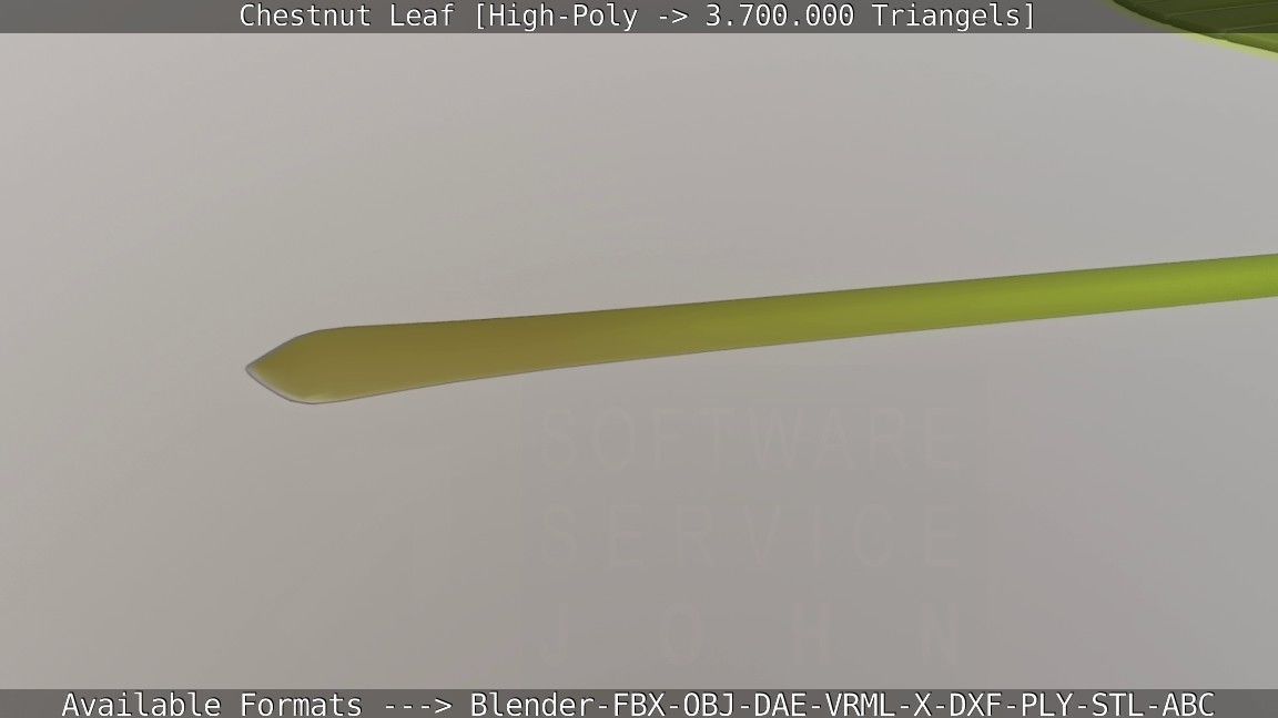Chestnut Leaf High-Poly 3D model_79