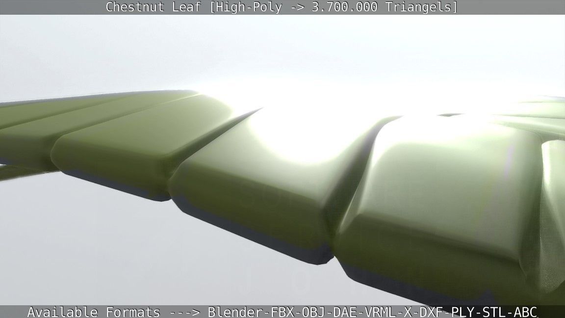 Chestnut Leaf High-Poly 3D model_121