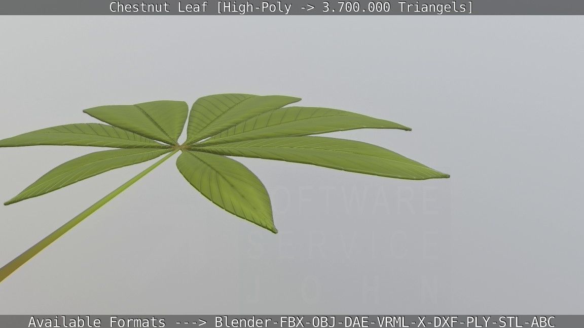 Chestnut Leaf High-Poly 3D model_58