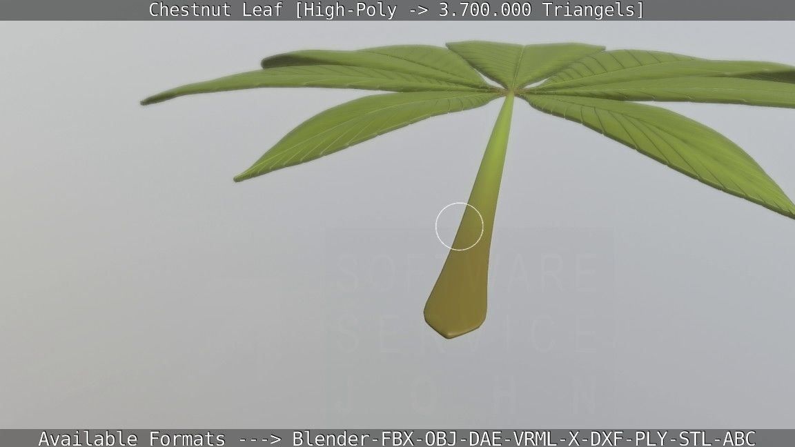 Chestnut Leaf High-Poly 3D model_65