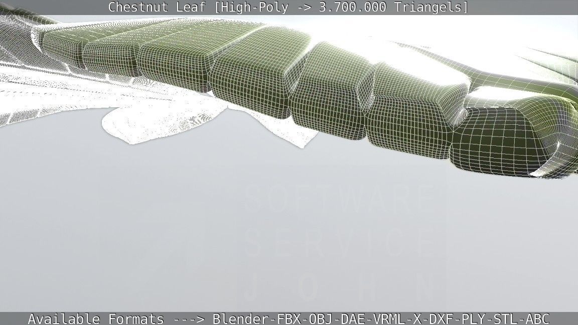 Chestnut Leaf High-Poly 3D model_15