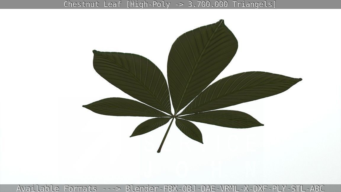 Chestnut Leaf High-Poly 3D model_51