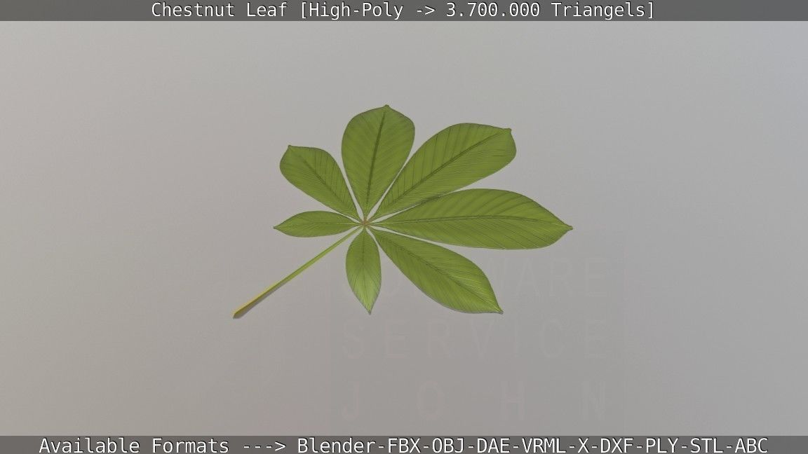 Chestnut Leaf High-Poly 3D model_42