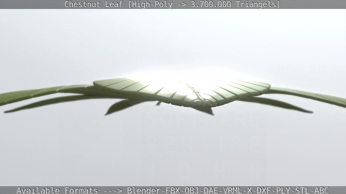 Chestnut Leaf High-Poly 3D model_123