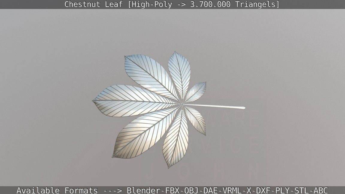Chestnut Leaf High-Poly 3D model_17
