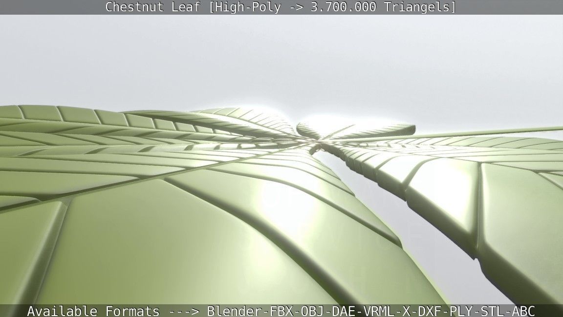 Chestnut Leaf High-Poly 3D model_97