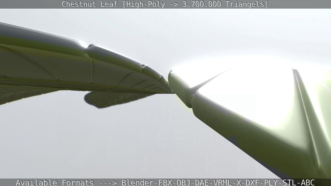 Chestnut Leaf High-Poly 3D model_99