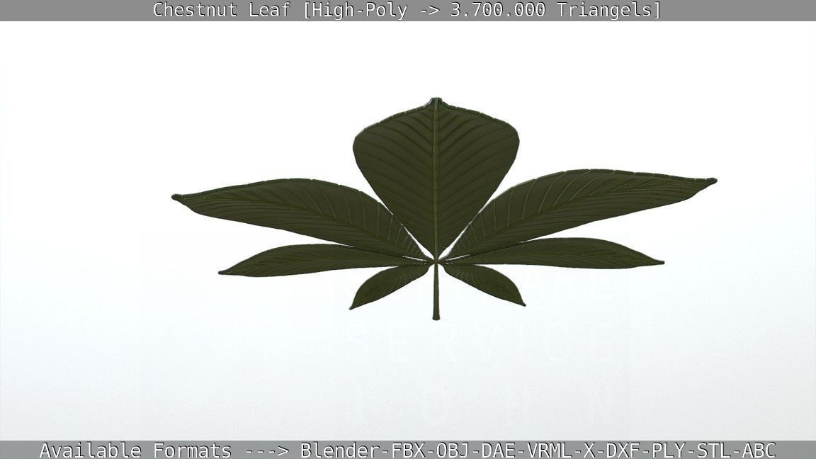Chestnut Leaf High-Poly 3D model_62