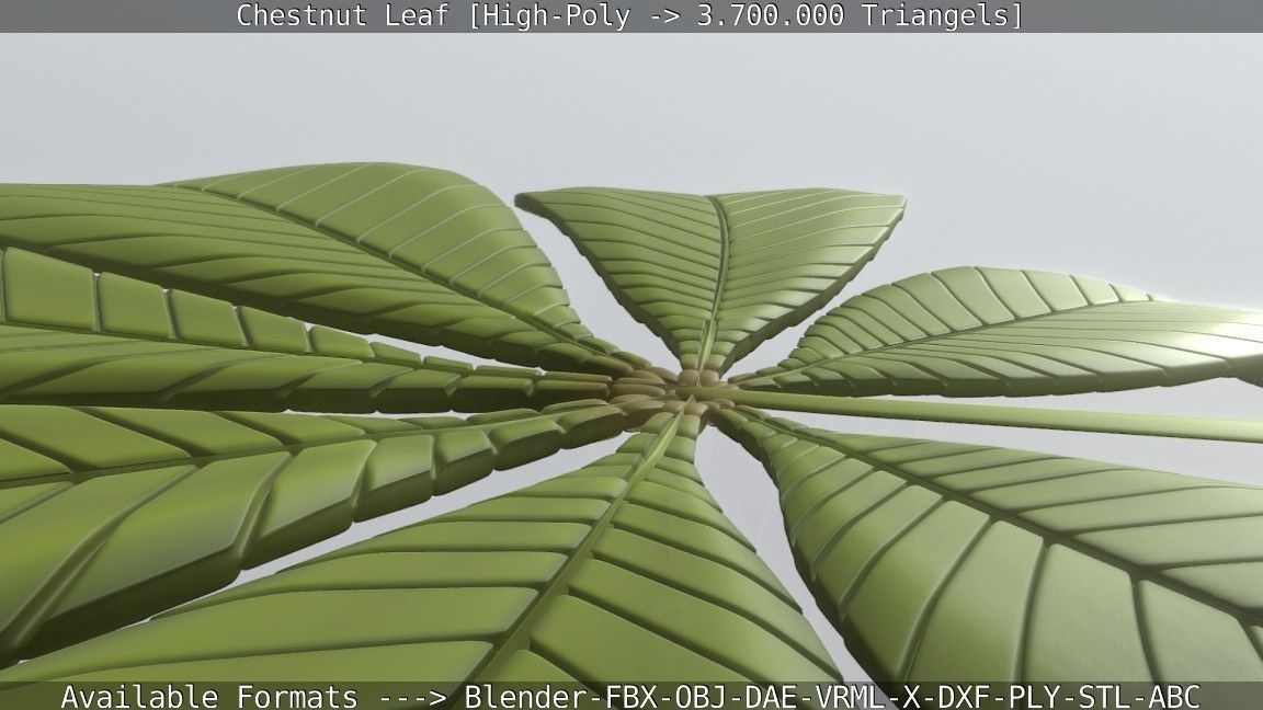 Chestnut Leaf High-Poly 3D model_2