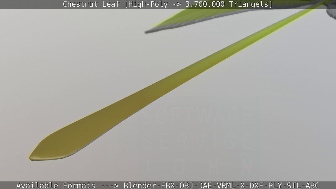 Chestnut Leaf High-Poly 3D model_76