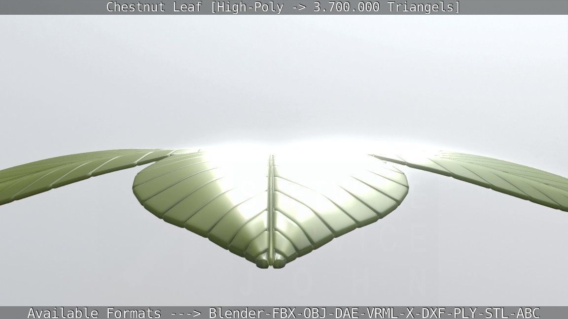 Chestnut Leaf High-Poly 3D model_124