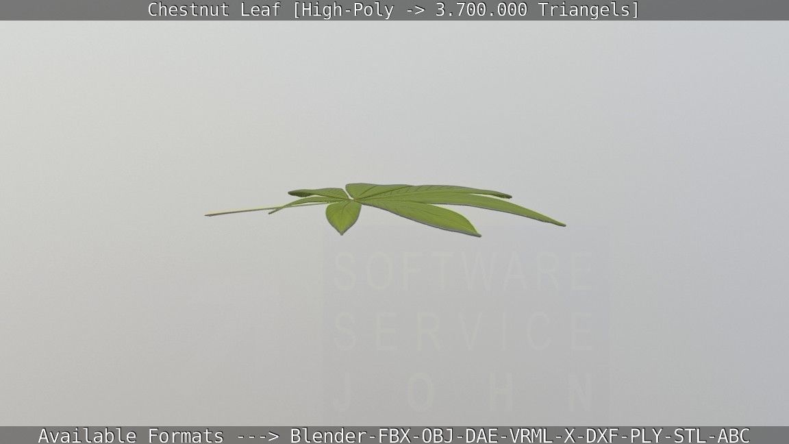 Chestnut Leaf High-Poly 3D model_41