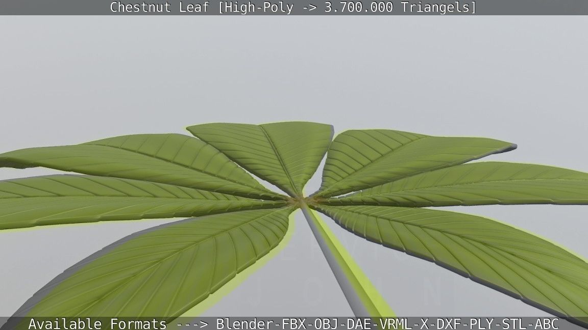 Chestnut Leaf High-Poly 3D model_110