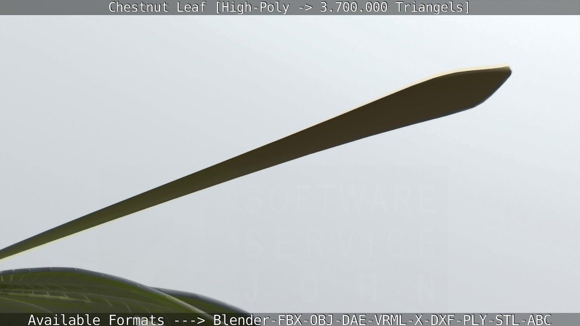 Chestnut Leaf High-Poly 3D model_77