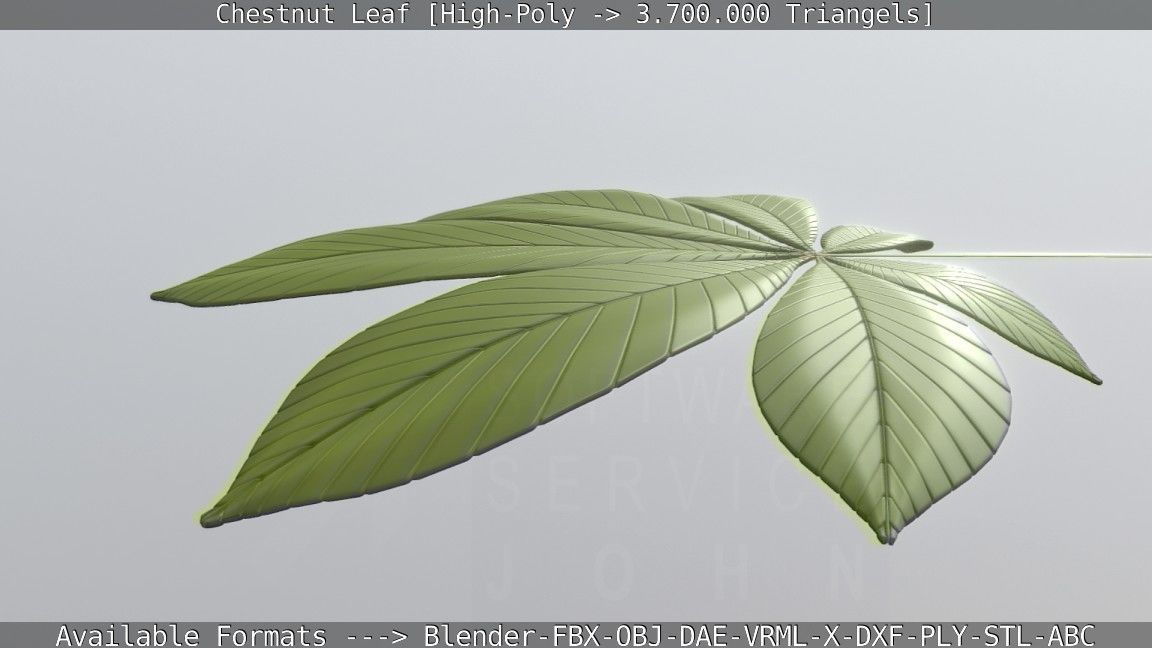 Chestnut Leaf High-Poly 3D model_59