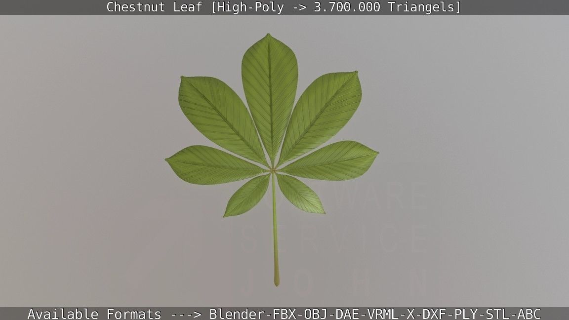 Chestnut Leaf High-Poly 3D model_35