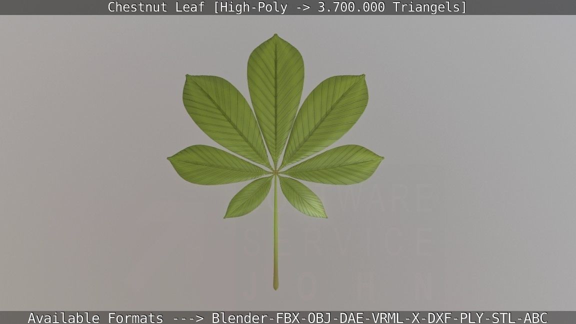 Chestnut Leaf High-Poly 3D model_34