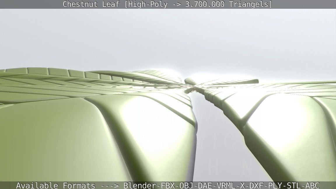 Chestnut Leaf High-Poly 3D model_23