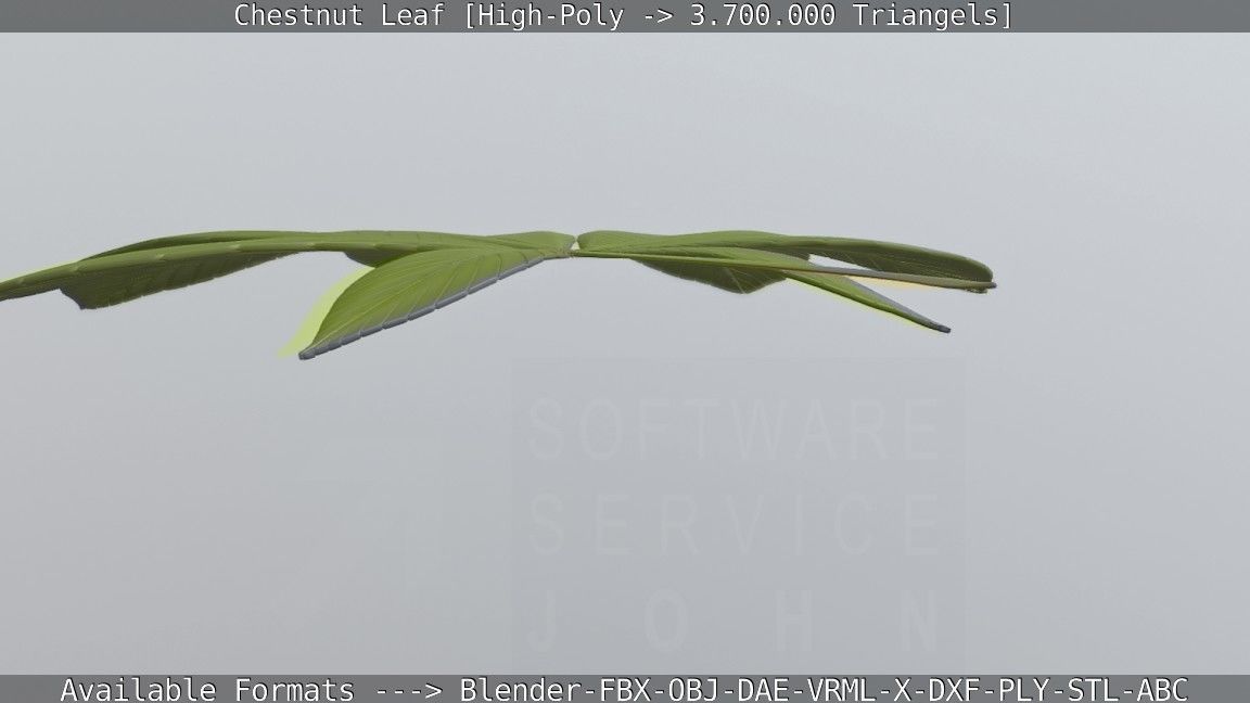 Chestnut Leaf High-Poly 3D model_60