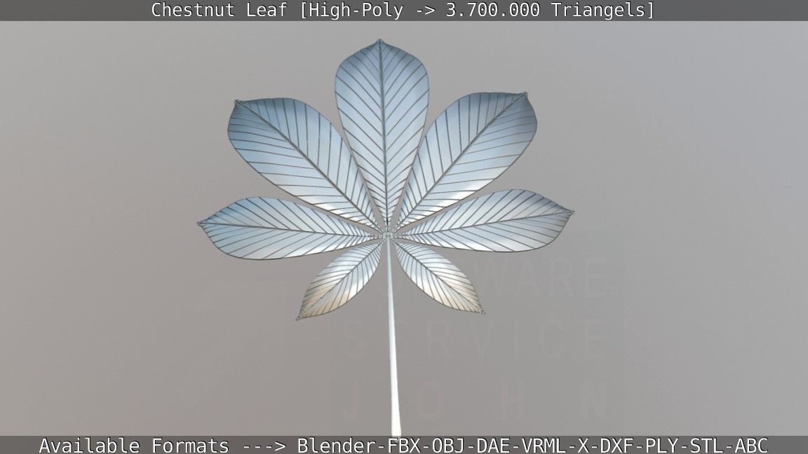 Chestnut Leaf High-Poly 3D model_12