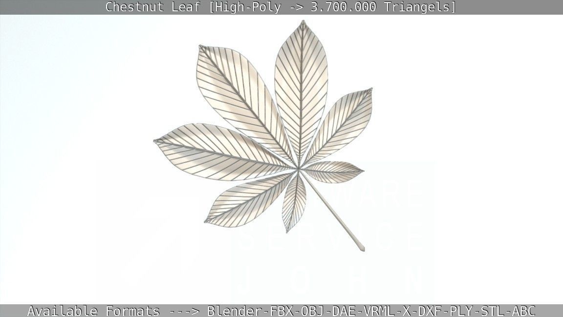 Chestnut Leaf High-Poly 3D model_7