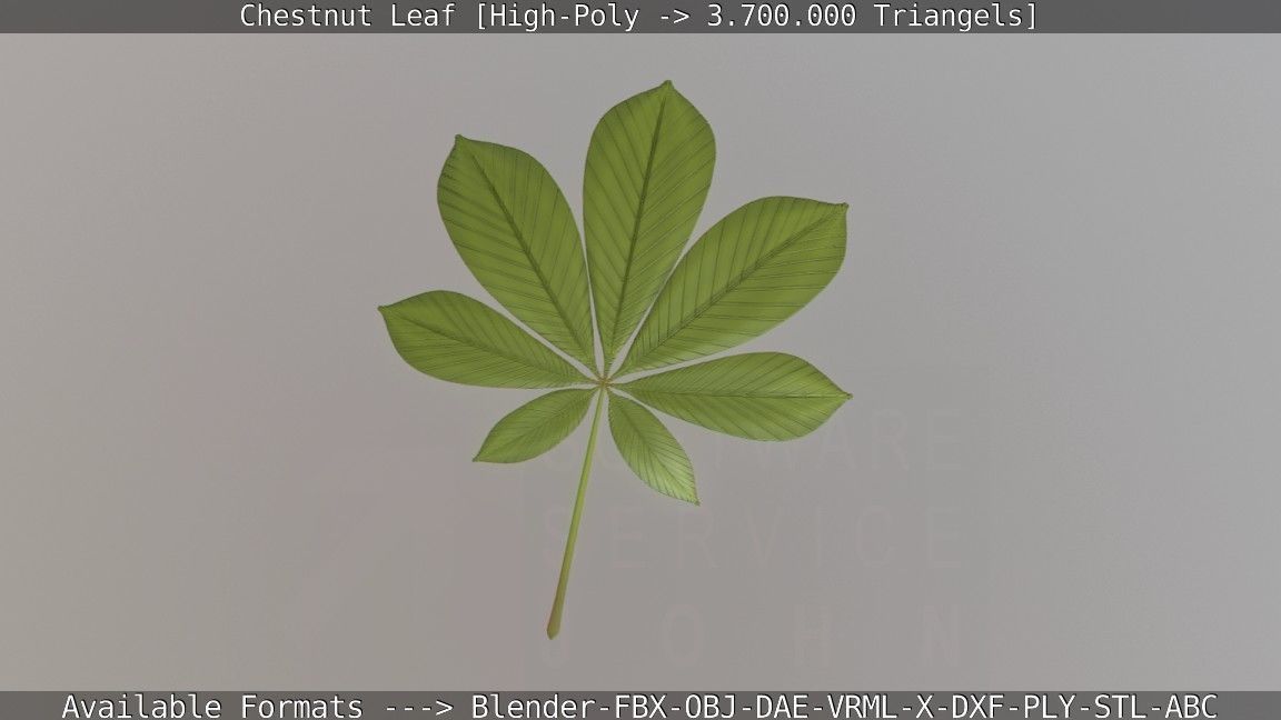 Chestnut Leaf High-Poly 3D model_36