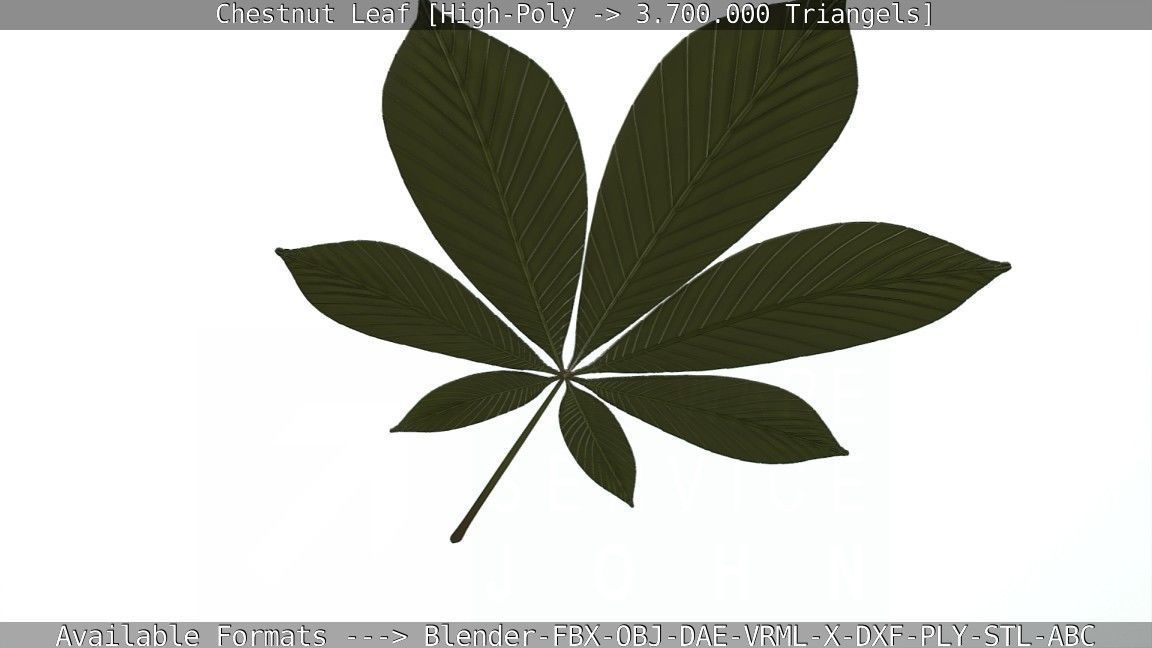 Chestnut Leaf High-Poly 3D model_48