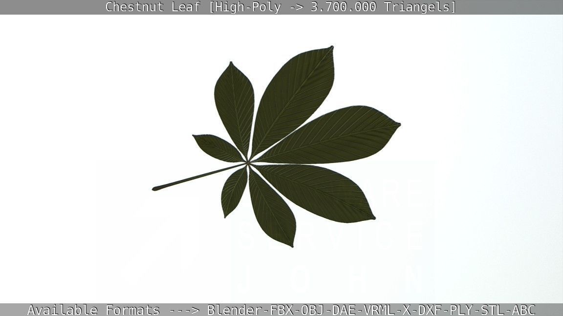Chestnut Leaf High-Poly 3D model_44