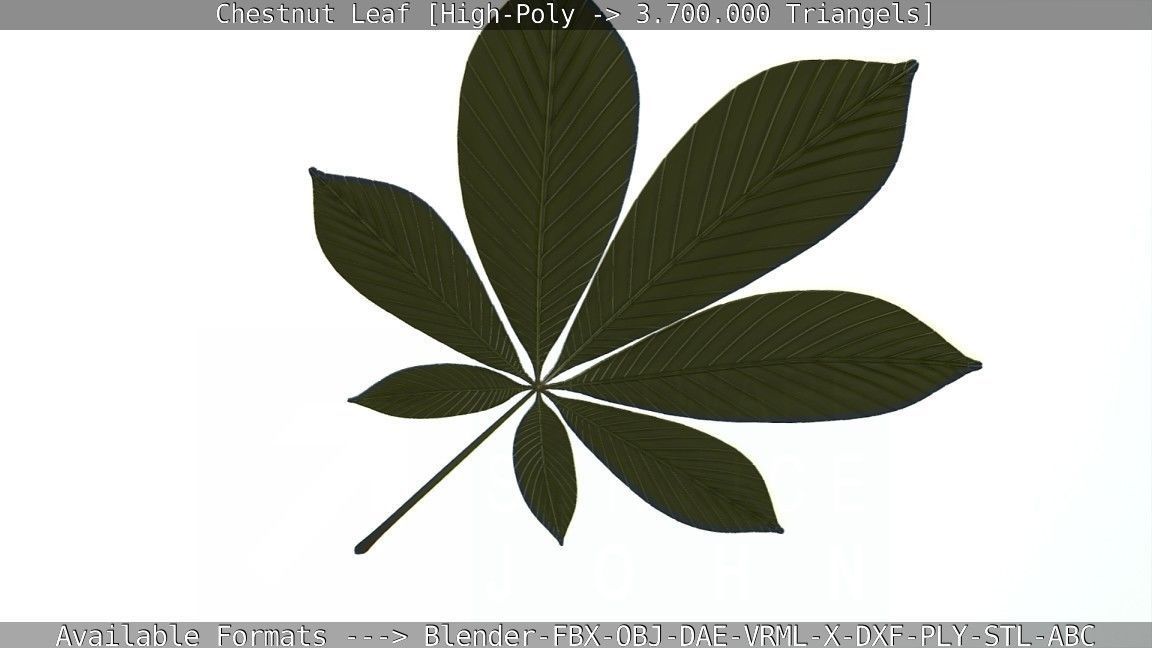 Chestnut Leaf High-Poly 3D model_47