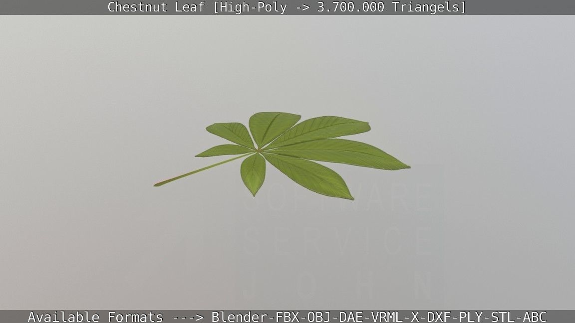 Chestnut Leaf High-Poly 3D model_30