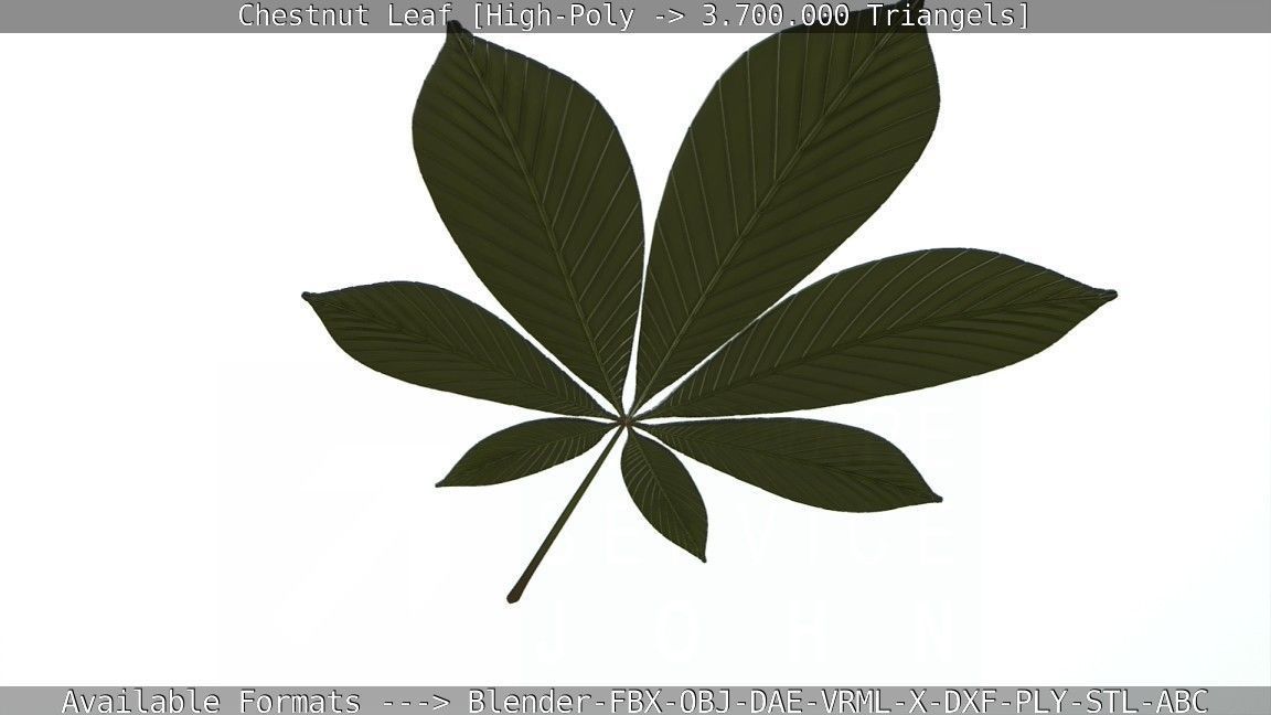 Chestnut Leaf High-Poly 3D model_50
