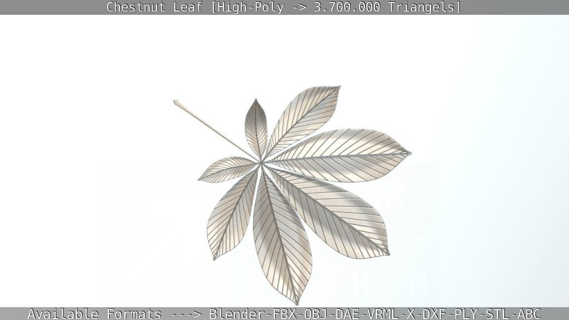 Chestnut Leaf High-Poly 3D model_9
