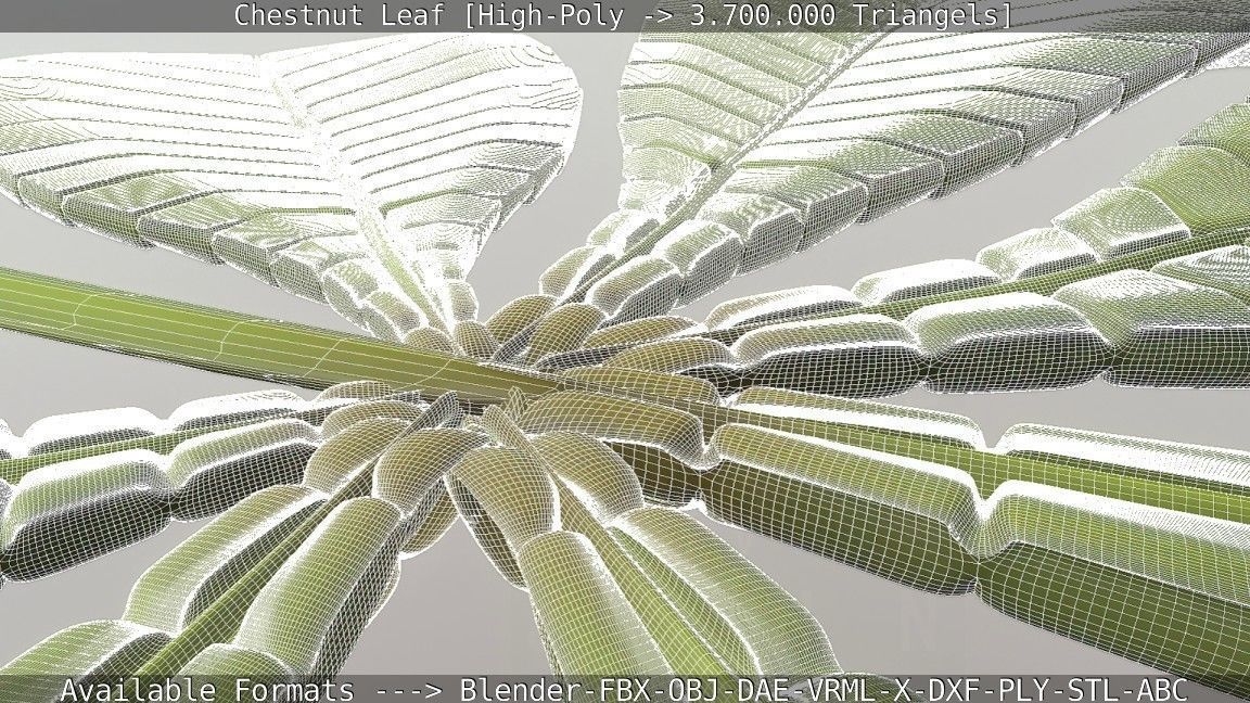 Chestnut Leaf High-Poly 3D model_22