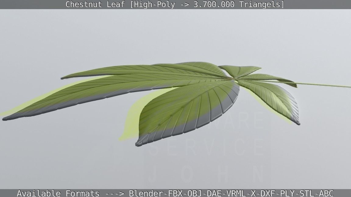 Chestnut Leaf High-Poly 3D model_26