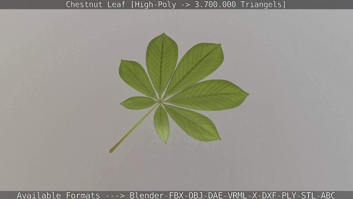 Chestnut Leaf High-Poly 3D model_38