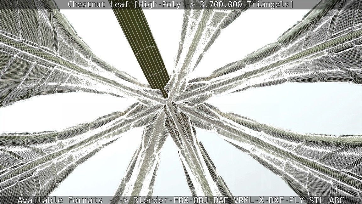 Chestnut Leaf High-Poly 3D model_13